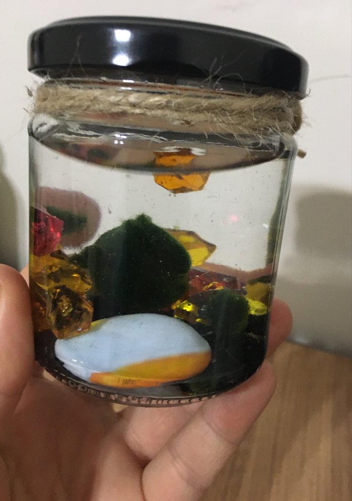 Renkli Taşlı Küçük Kavanozda marimo şans yosunu - Görsel 3