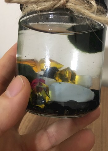 Renkli Taşlı Dekoratif Kavanozunda marimo şans yosunu - Görsel 6