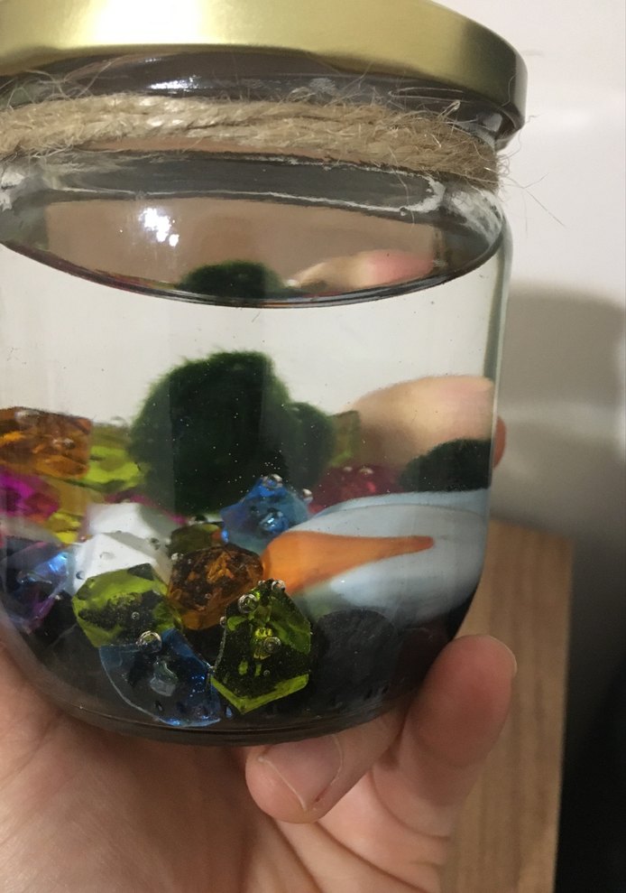 Bohem Tarzı El Yapımı marimo şans yosunu - Görsel 5