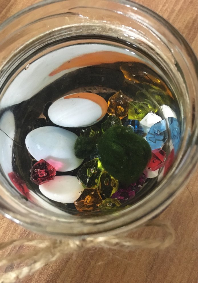 Bohem Tarzı El Yapımı marimo şans yosunu - Görsel 3