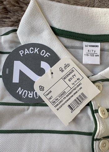 Düğmeli Polo Yaka Yeşil Beyaz Çizgili Beyaz Erkek Çocuk Takımı - Görsel 10