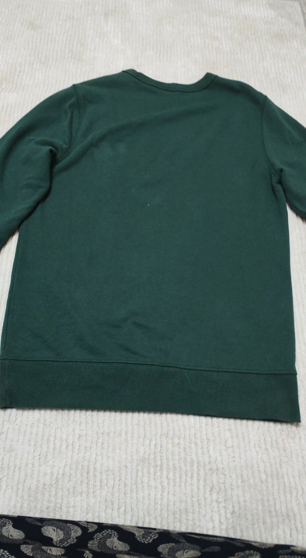 Kadın Yeşil Nakışlı Sweatshirt - Görsel 5