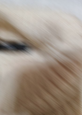 Kadın Triko Balıkçı Yaka Kazak - Görsel 2