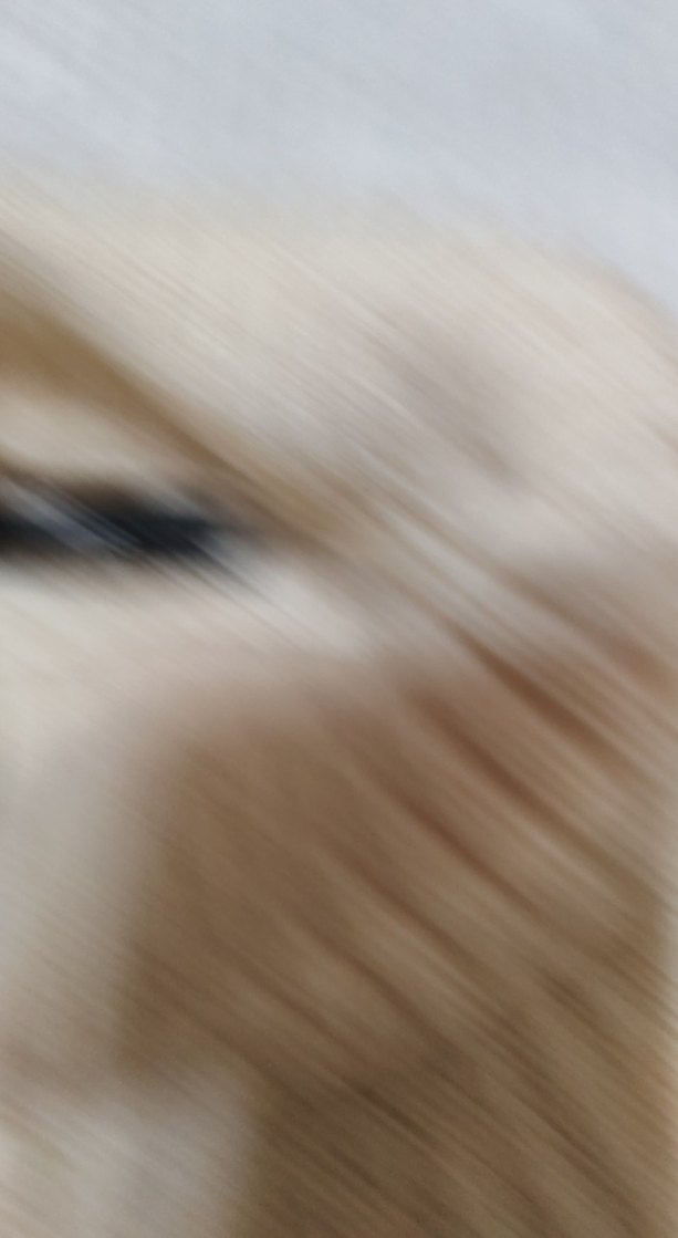 Kadın Triko Balıkçı Yaka  Kazak - Görsel 2