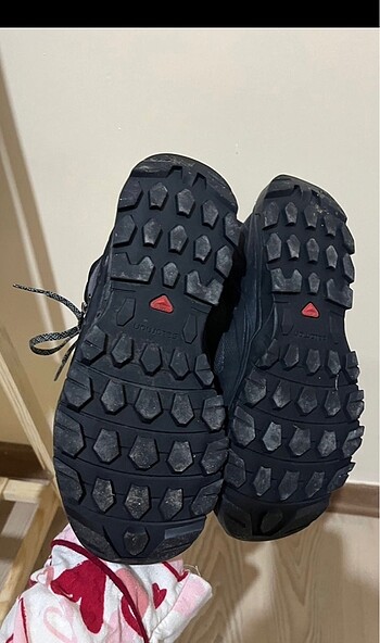 Salomon Salomon bot