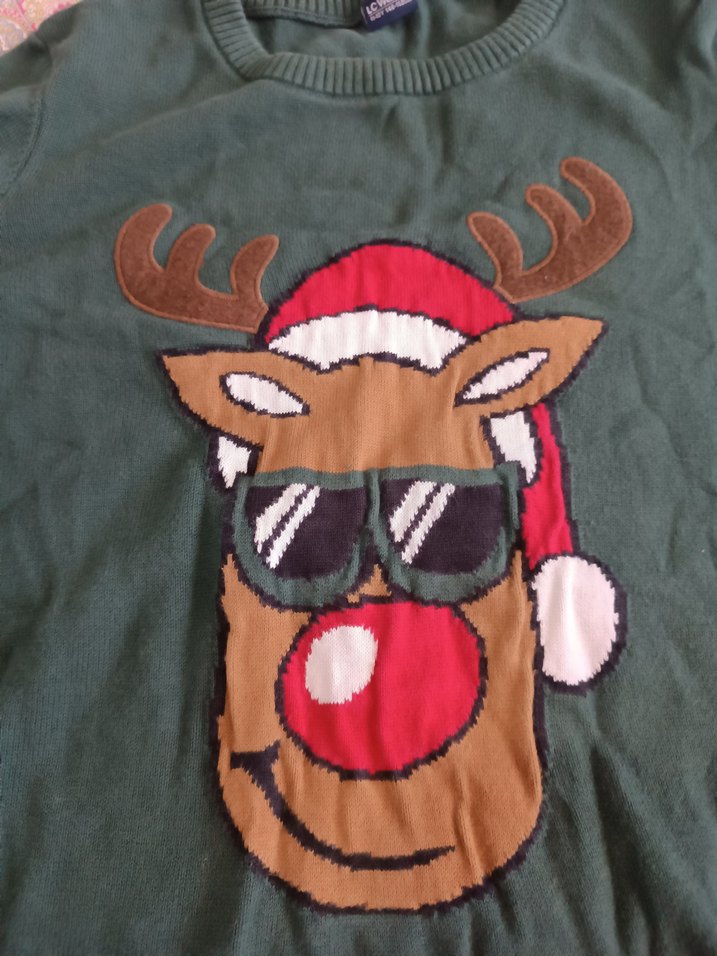 Nakışlı Yeşil erkek çocuk Triko Kazak - Görsel 4