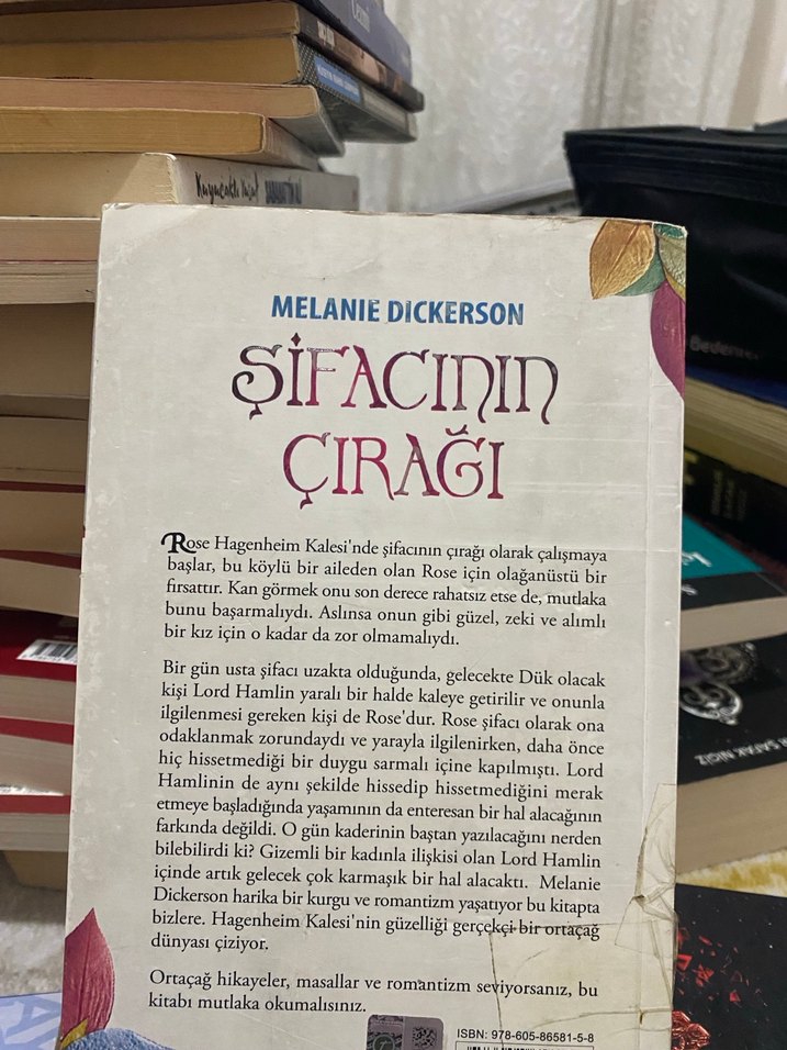 Şifacının Çırağı - Melanie Dickerson - Görsel 2