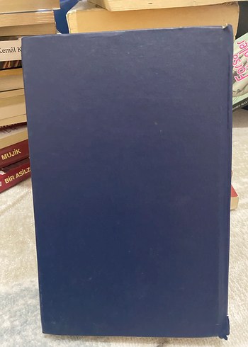 Deli - Gülşen Kılıçaslan - Görsel 2