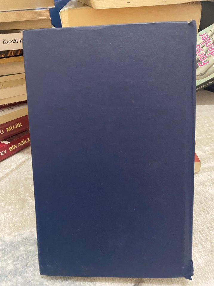 Deli - Gülşen Kılıçaslan - Görsel 2