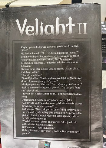 Veliaht II - FiLİZ PULUÇ Roman - Görsel 2