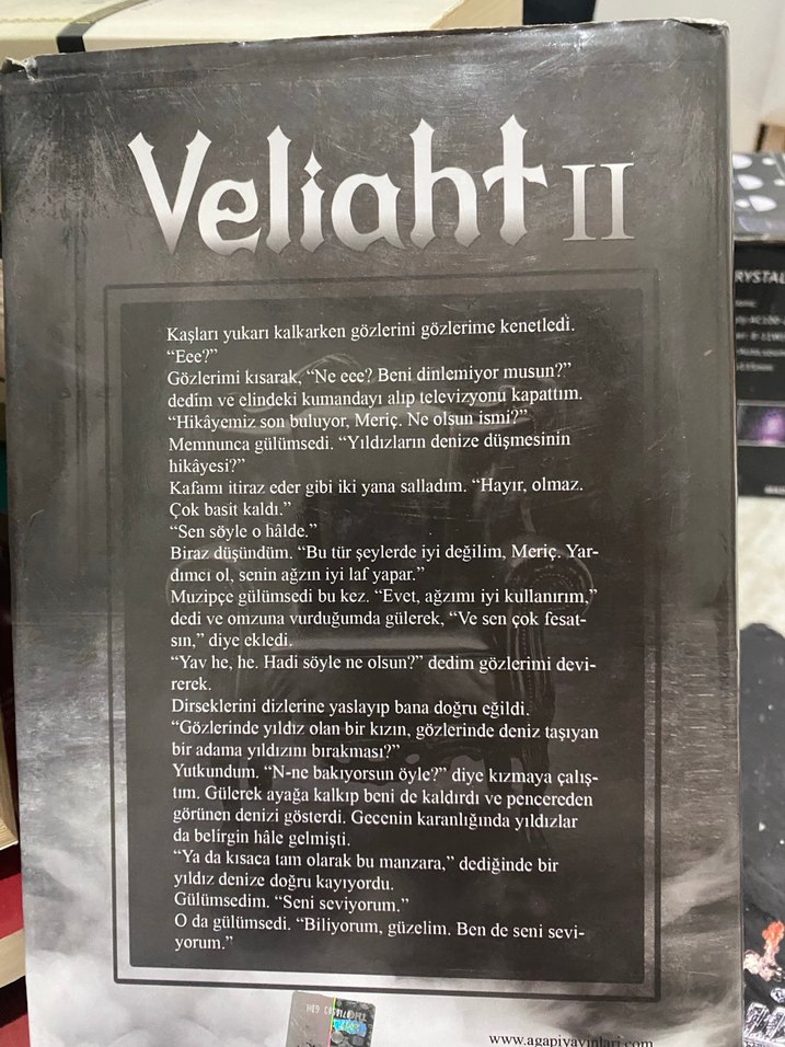 Veliaht II - FiLİZ PULUÇ Roman - Görsel 2