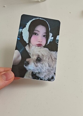 diğer Beden Asa pc