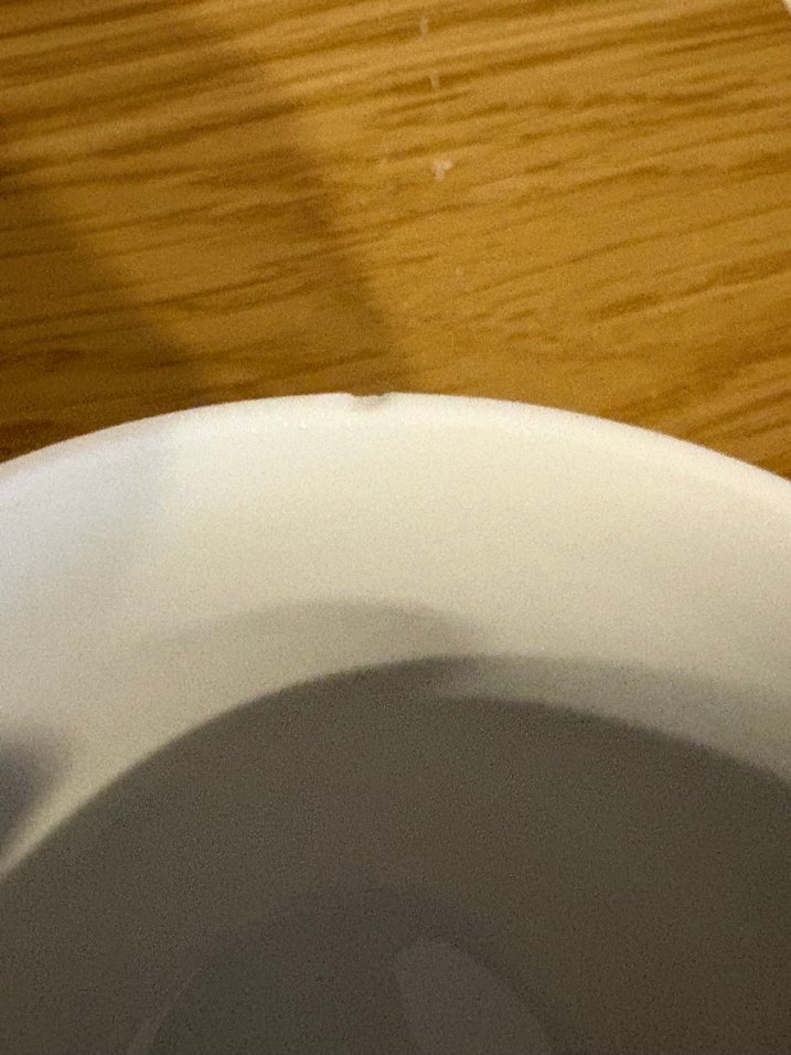 Gri Çiçek Desenli Beyaz Porselen Fincan - Görsel 5