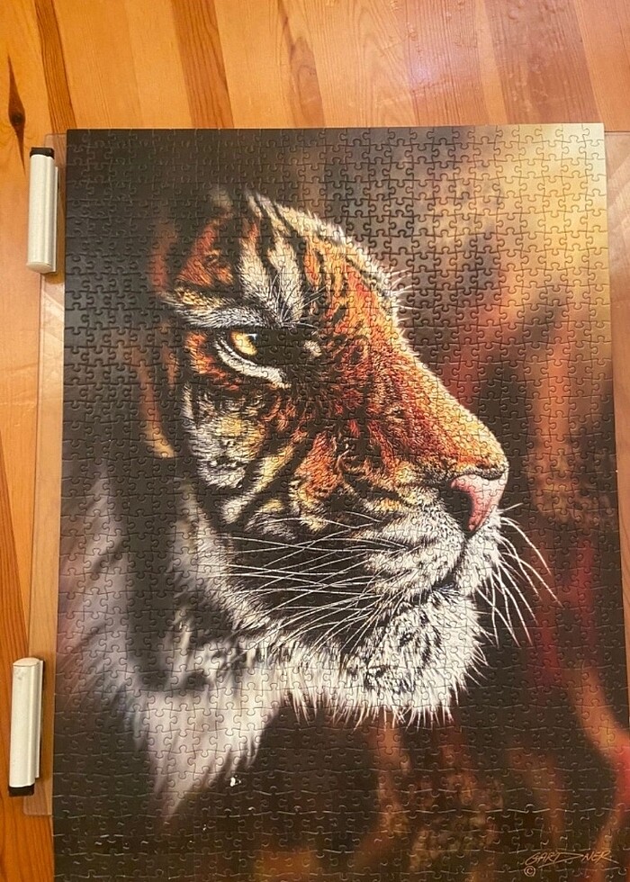 1000 Parça Vahşi Kaplan Puzzle - Görsel 4
