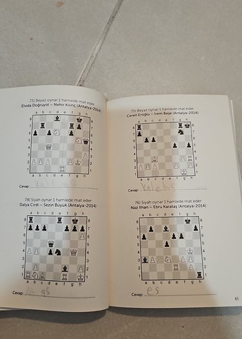 250 Mat - Küçükler Satranç Kitabı - Görsel 2