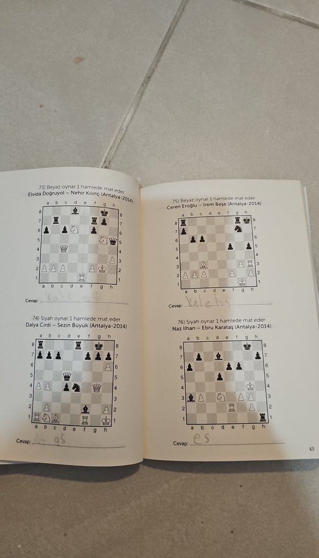 250 Mat - Küçükler Satranç Kitabı - Görsel 2