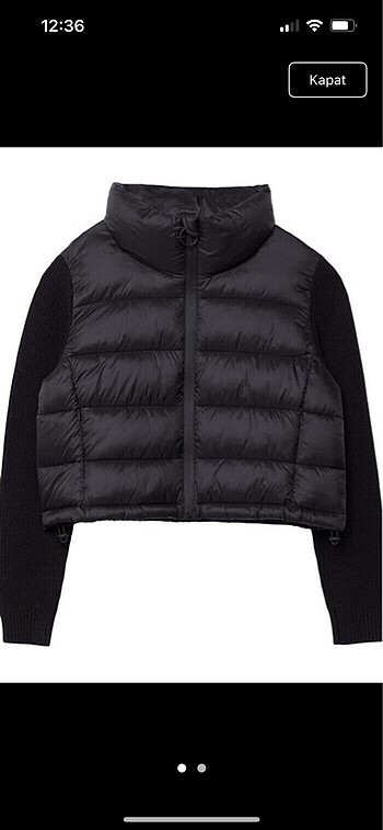 Stradivarius mont