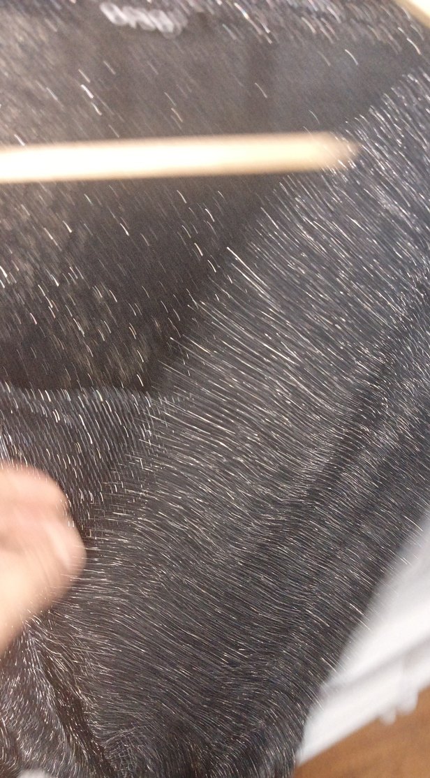 Gri Drapeli Kadın Kolsuz Bluz simli - Görsel 5