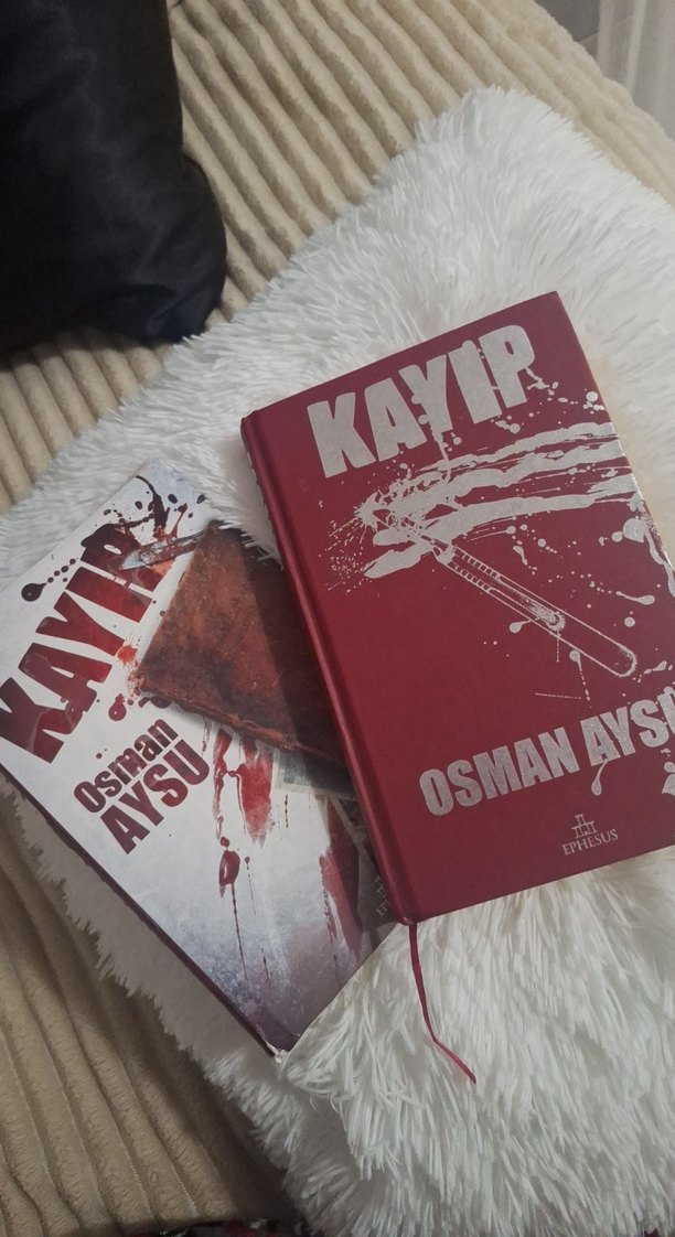 Kayıp - Osman Aysu Romanı - Görsel 3