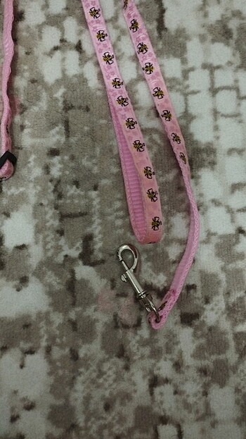 Kedi tasması - Görsel 3