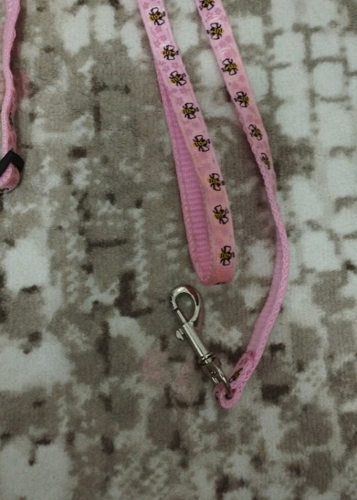 Kedi tasması - Görsel 3