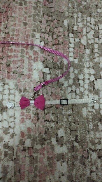 Kedi tasması  - Görsel 2