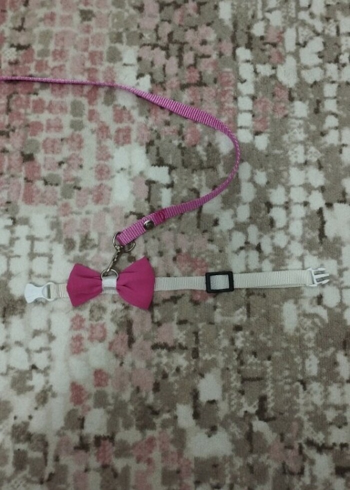 Kedi tasması  - Görsel 2