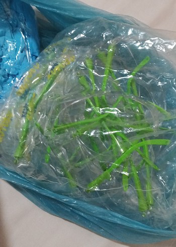 Şeffaf Yeşil Minimalist Yüzücü Gözlüğü - Görsel 6