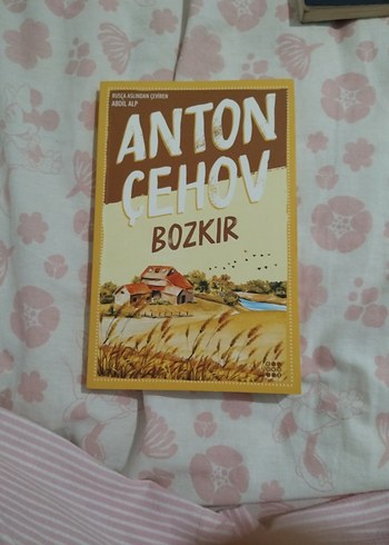 Anton Çehov - Bozkır Romanı