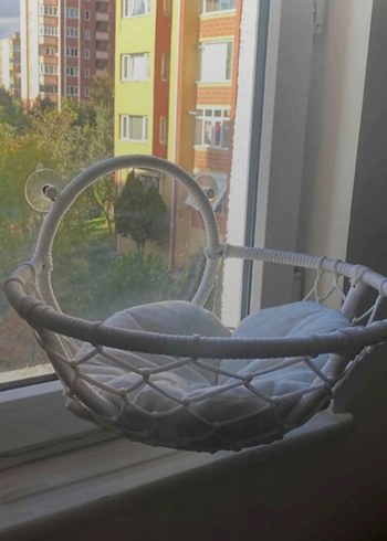 Gri Kedi Penceresi Sepeti - Görsel 2