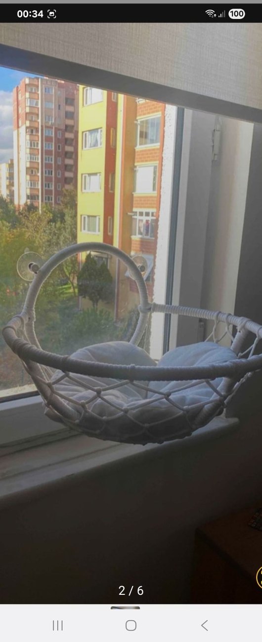 Gri Kedi Penceresi Sepeti - Görsel 2