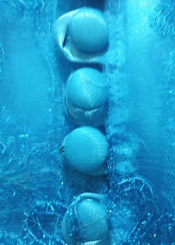 Nakışlı mavi Uzun Kollu Kadın Elbise - Görsel 3