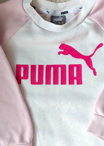 Puma 18-24 Ay