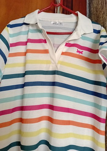 Çizgili Polo Yaka Midi Elbise - Görsel 2