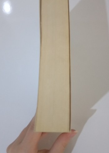 Yasak Meyve - Jojo Moyes Roman - Görsel 3