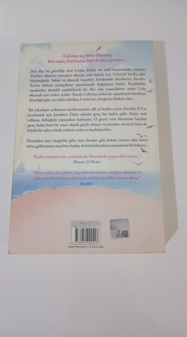 Yasak Meyve - Jojo Moyes Roman - Görsel 2