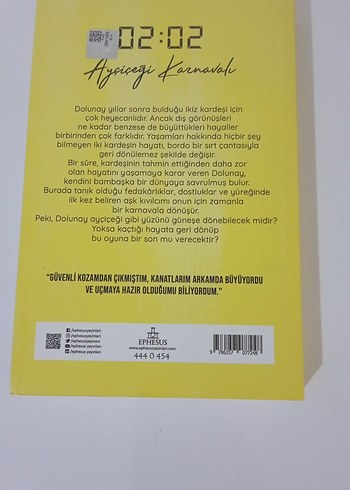 Ayçiçeği Karnaval - N.G. Kabal - Görsel 2