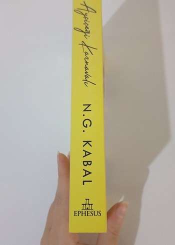 Ayçiçeği Karnaval - N.G. Kabal - Görsel 3