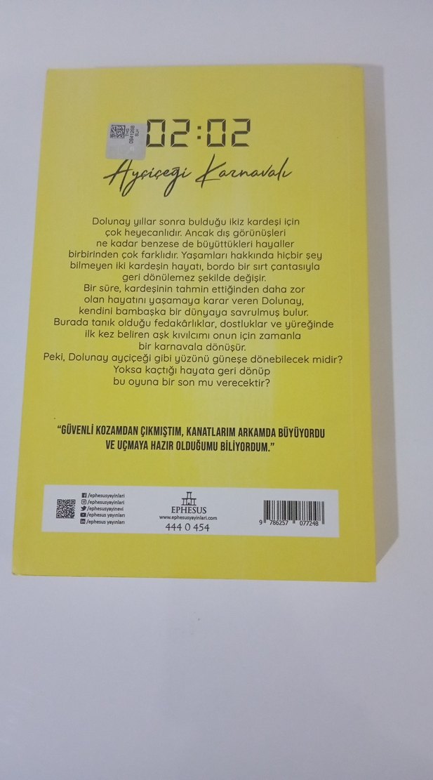 Ayçiçeği Karnaval - N.G. Kabal - Görsel 2