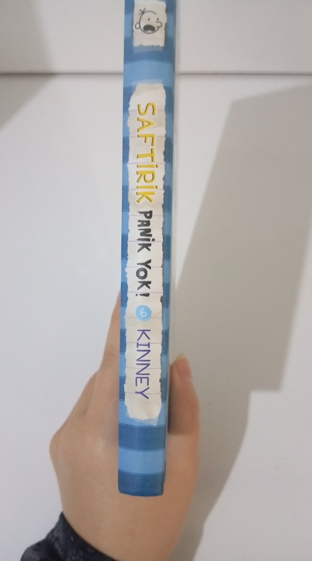 Saftirik Greg'in Günlüğü - Panik Yok! - Görsel 3