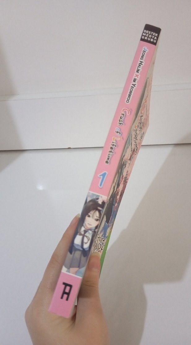 Crush of Lifetime - Hayatımın Aşkı 1. Cilt - Görsel 3