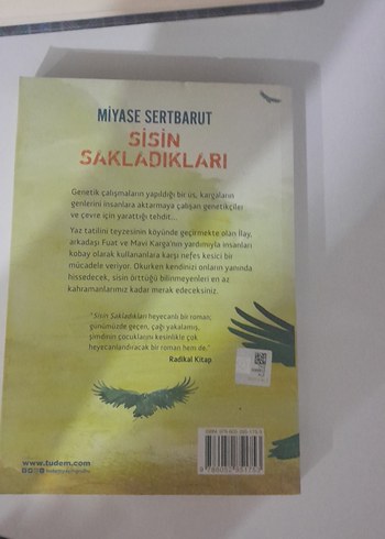 Sisin Sakladıkları - Miyase Sertbarut