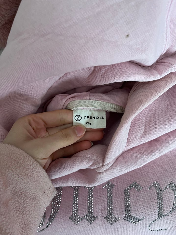 Pembe Kadın Kapüşonlu Sweatshirt - Görsel 3