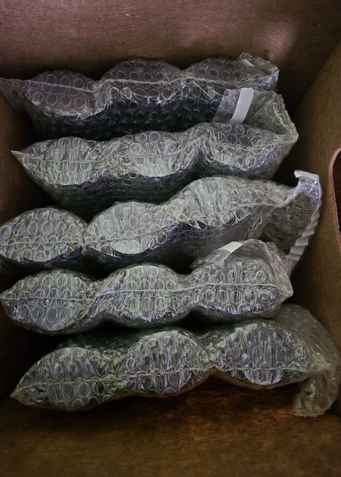 Clear Men

Maksimum Ferahlık Yağlı Saç Derisi İçin Limon Özlü 35 - Görsel 4