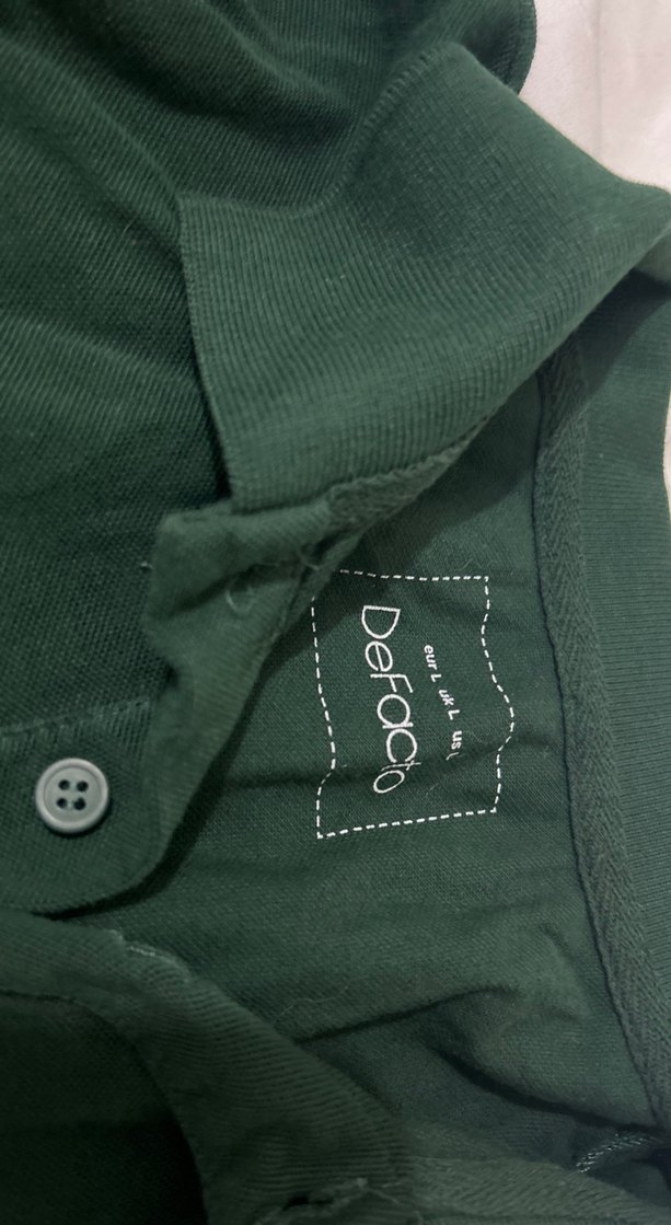 Erkek Yeşil ve mavi  Polo Yaka Kısa Kollu Tişört - Görsel 2