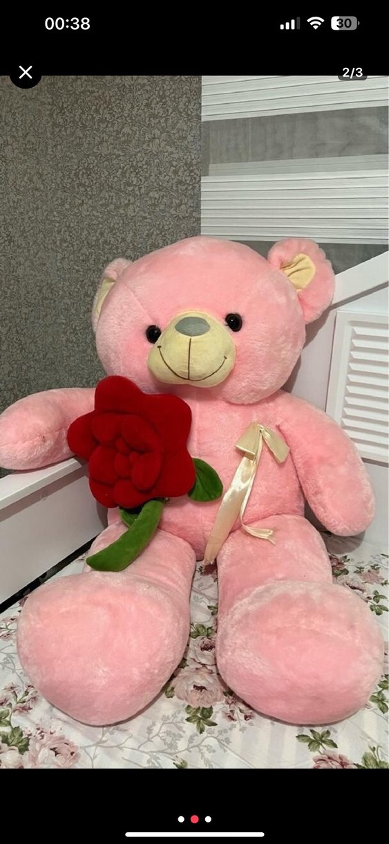 Pembe Peluş Ayı Oyuncak - Görsel 2