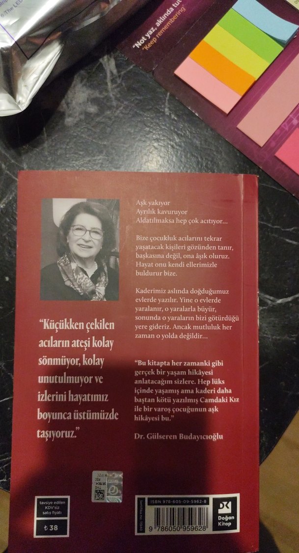 Camdaki Kız - Gülseren Budayıcıoğlu - Görsel 2