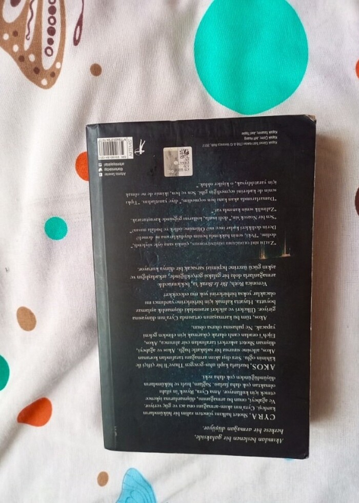 Veronica roth Bir İz Bırak - Görsel 4