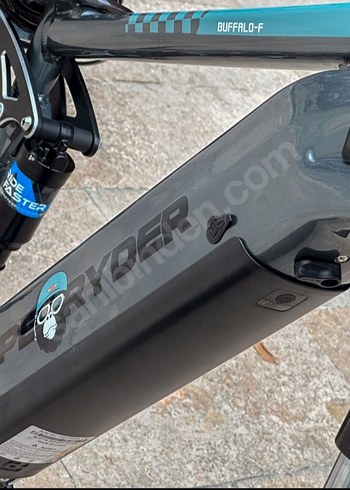 Beden Ape ryder Buffalo-f