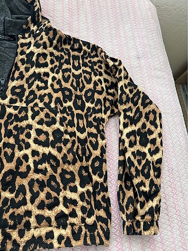 Collezione Seeatshirt